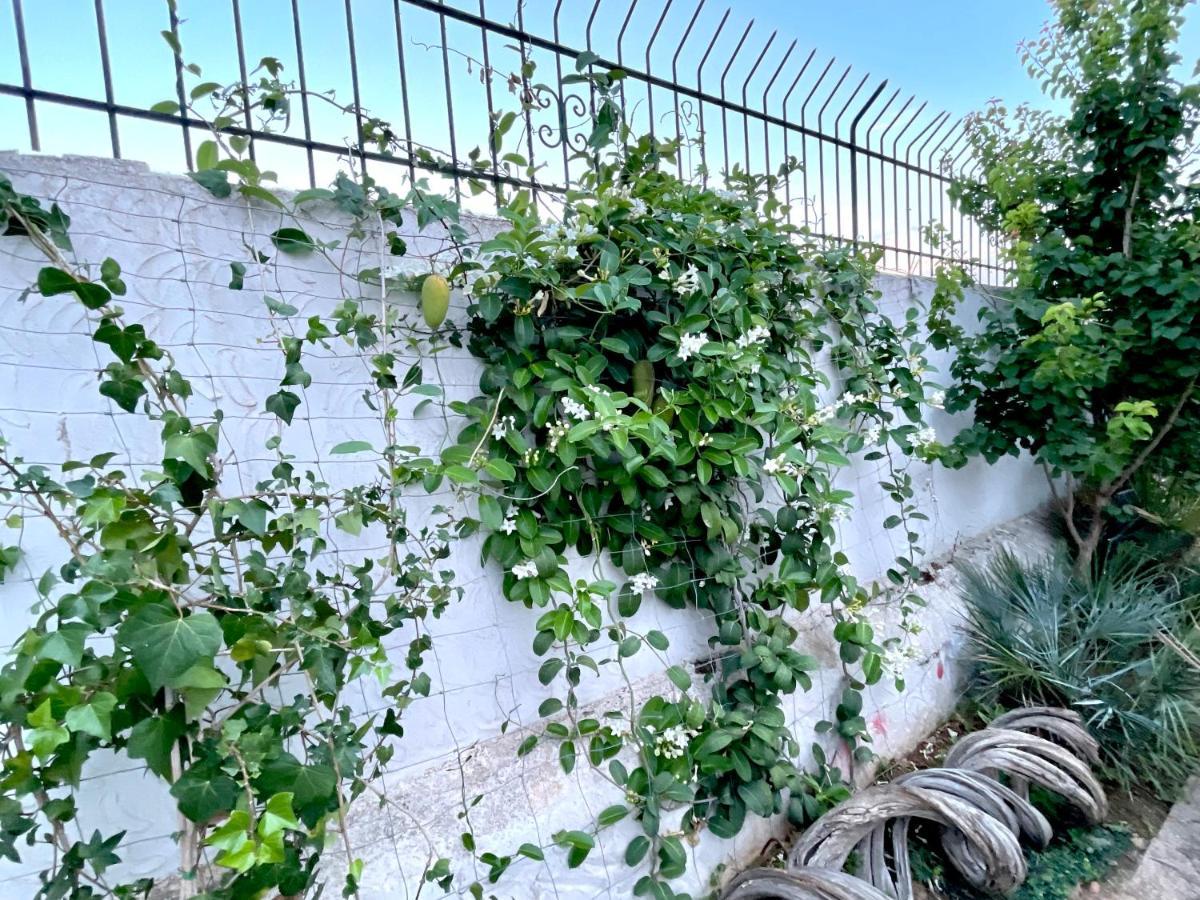 Villa Sa Torre Ibiza Eksteriør billede